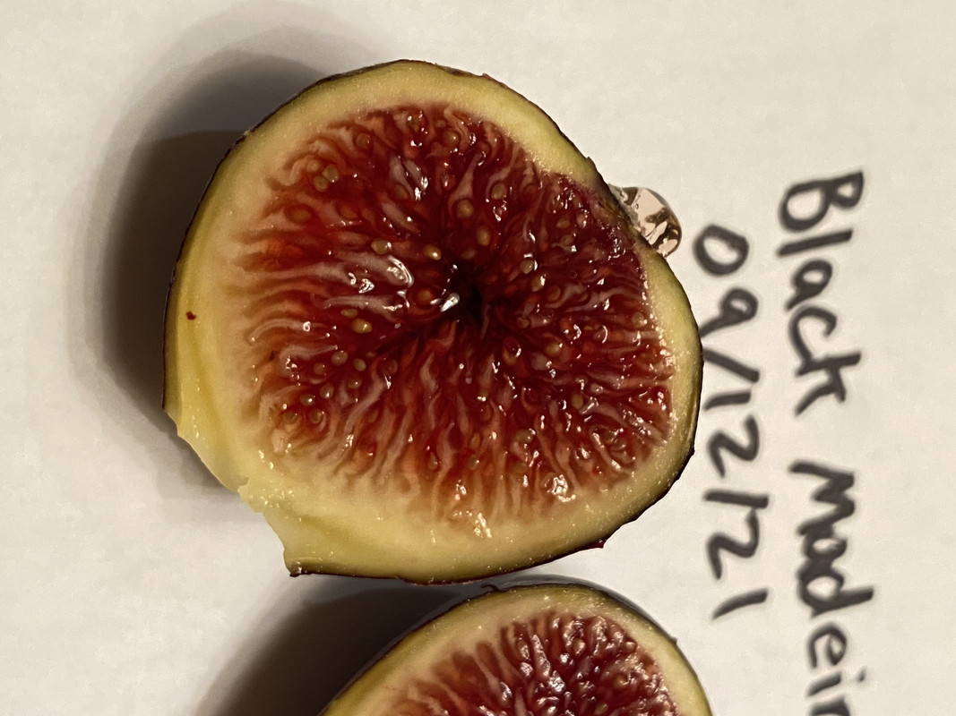 AC500F68-A9A3-460B-AC9B-81AB4B37BBDD