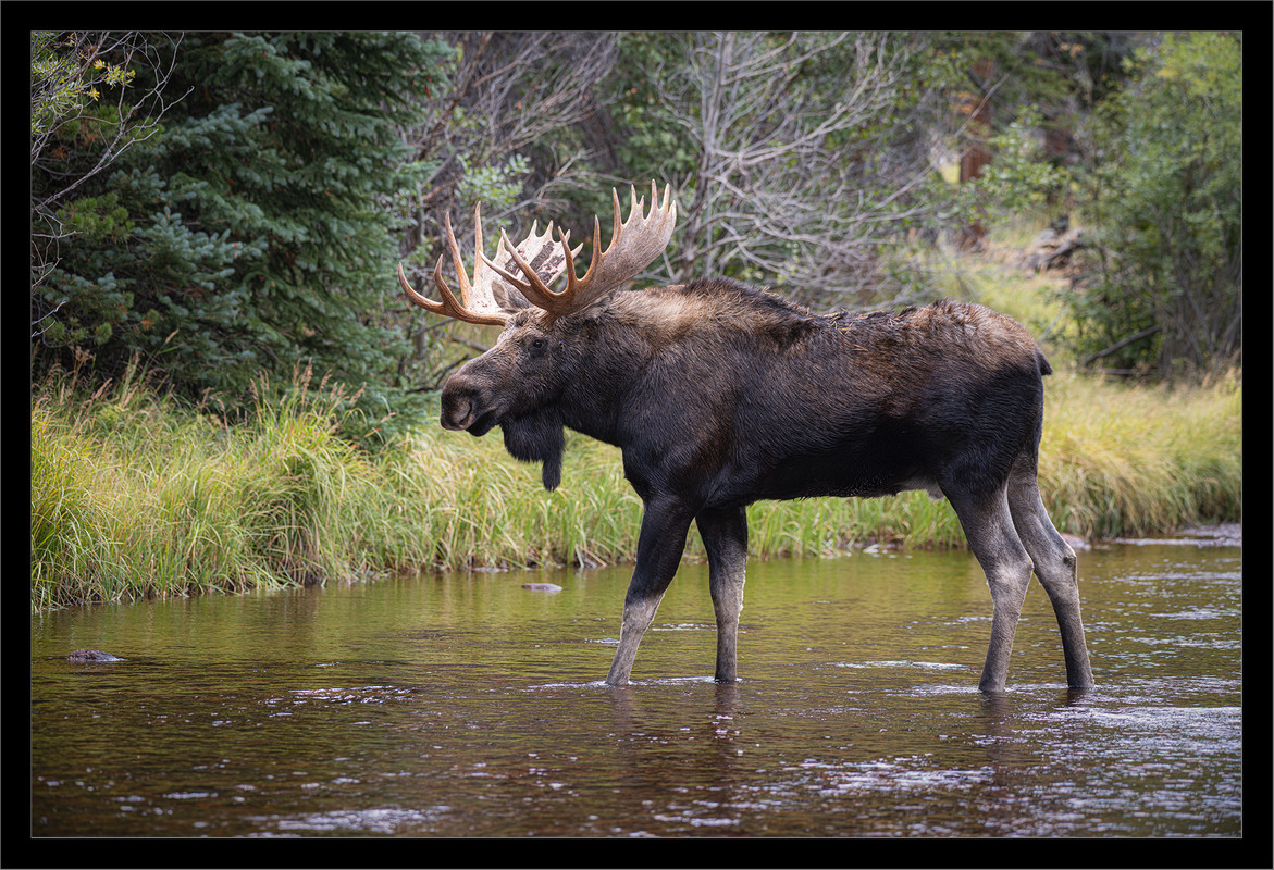 Ed2000-2x3TopazNik_DSF9038 copy