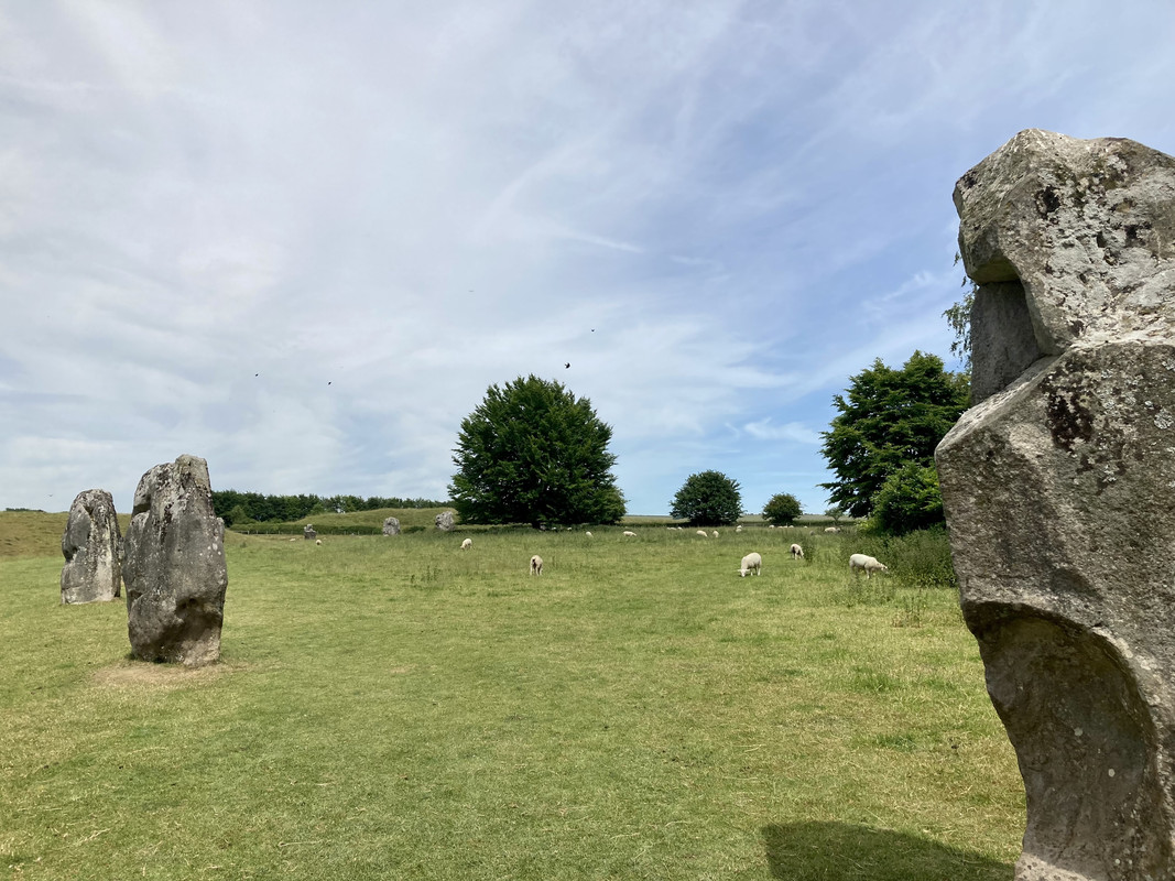 C58378F0-E6C0-45F4-96EC-E8F74B3E0760