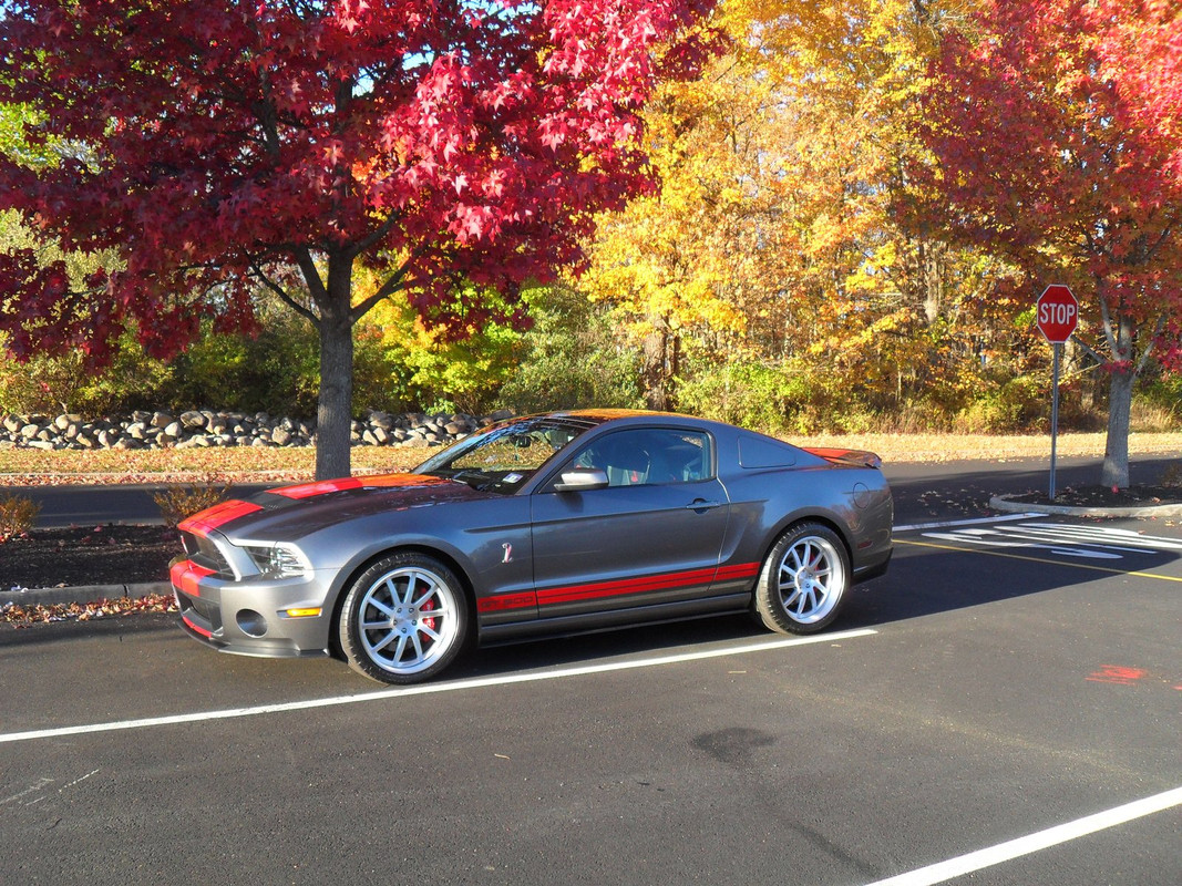 X-S/F Fall pic run - 2 034