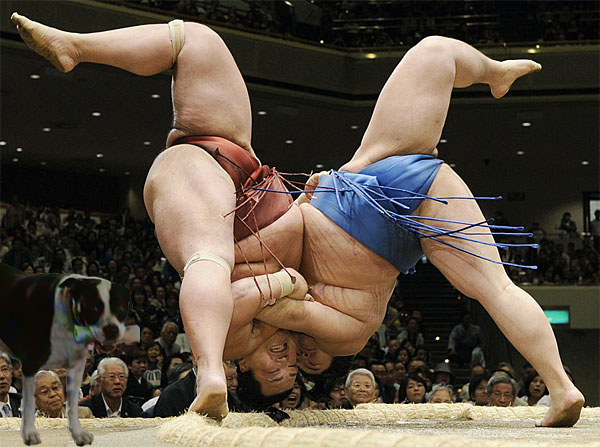 sumo-fight-funny-16.png