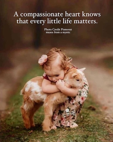 Compassion