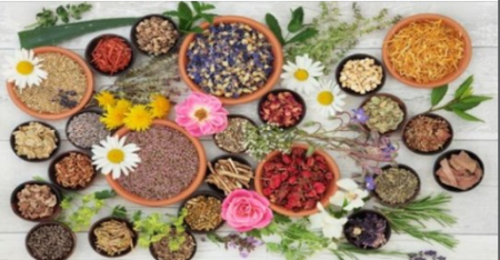 Fully Accredited Foundation Diploma Course in Naturopathy