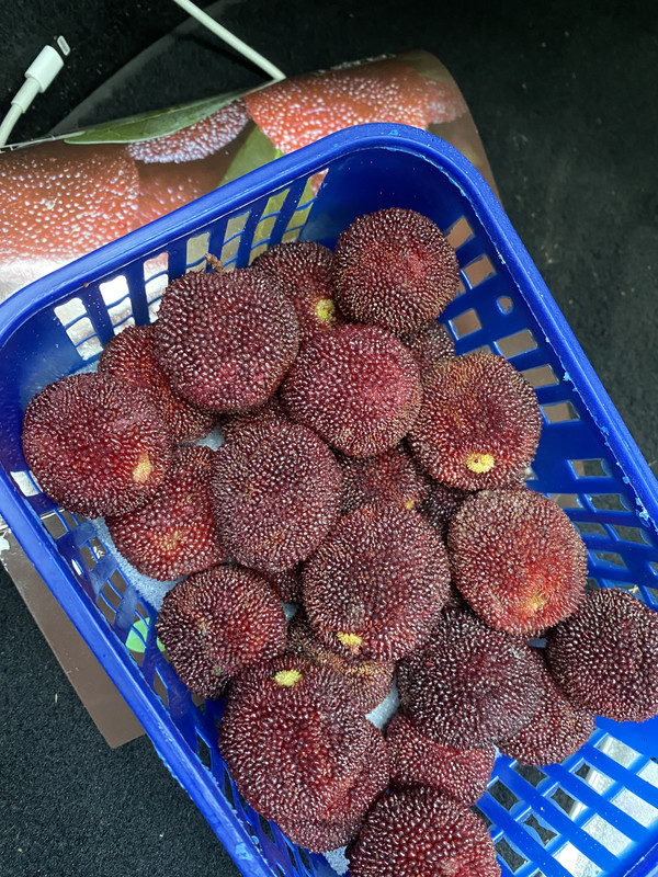 B39E5AAB-4C41-4FE6-B660-AD33F662330F