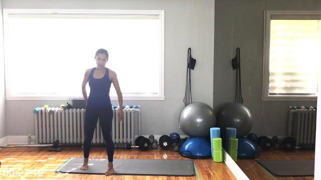 [Image: G-PFit-Mom-Home-Program.jpg]
