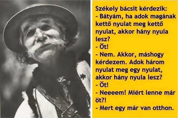 https://i.postimg.cc/HLV5gnVQ/szekely-bacsit-kerdezik.jpg