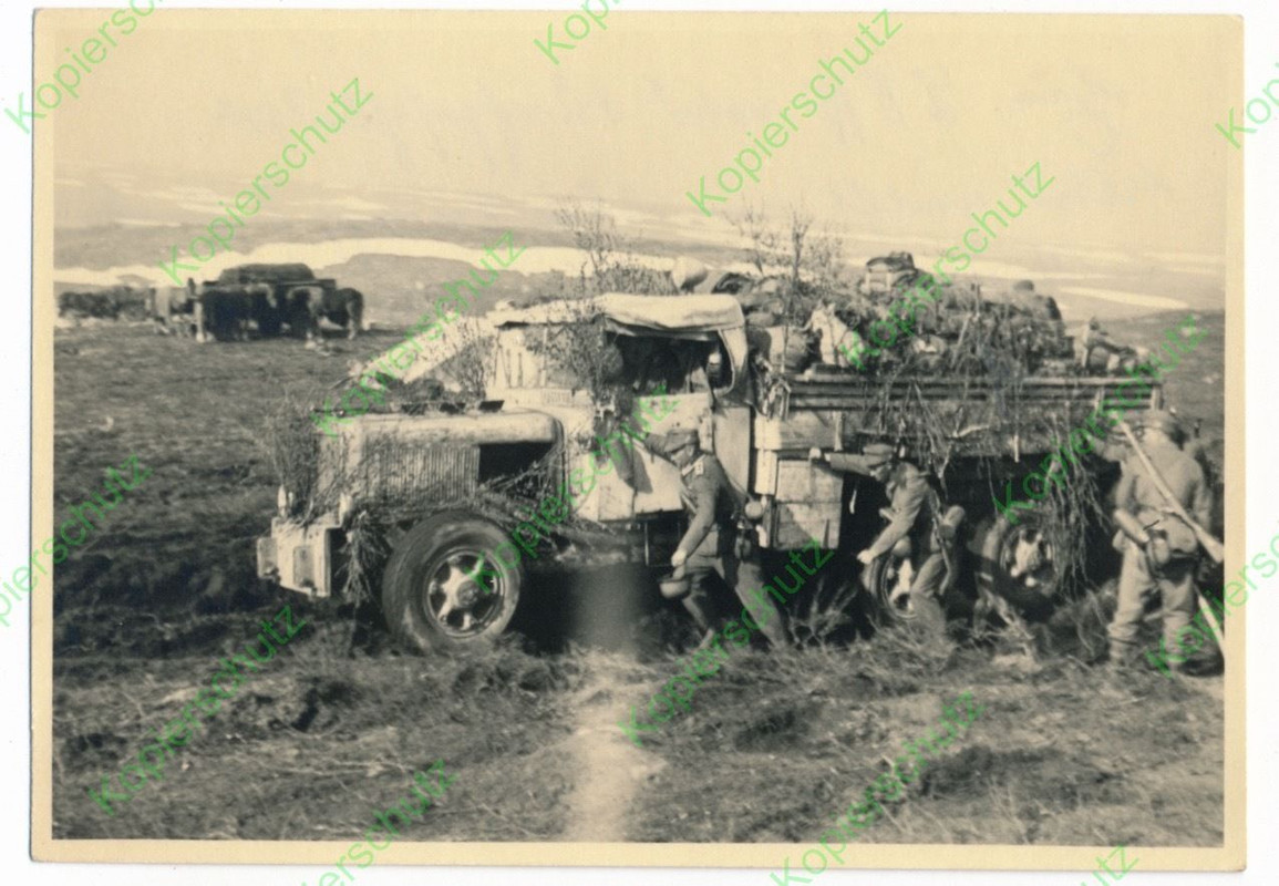 Foto Gebirgsjäger Norwegen Finnland getarnter LK