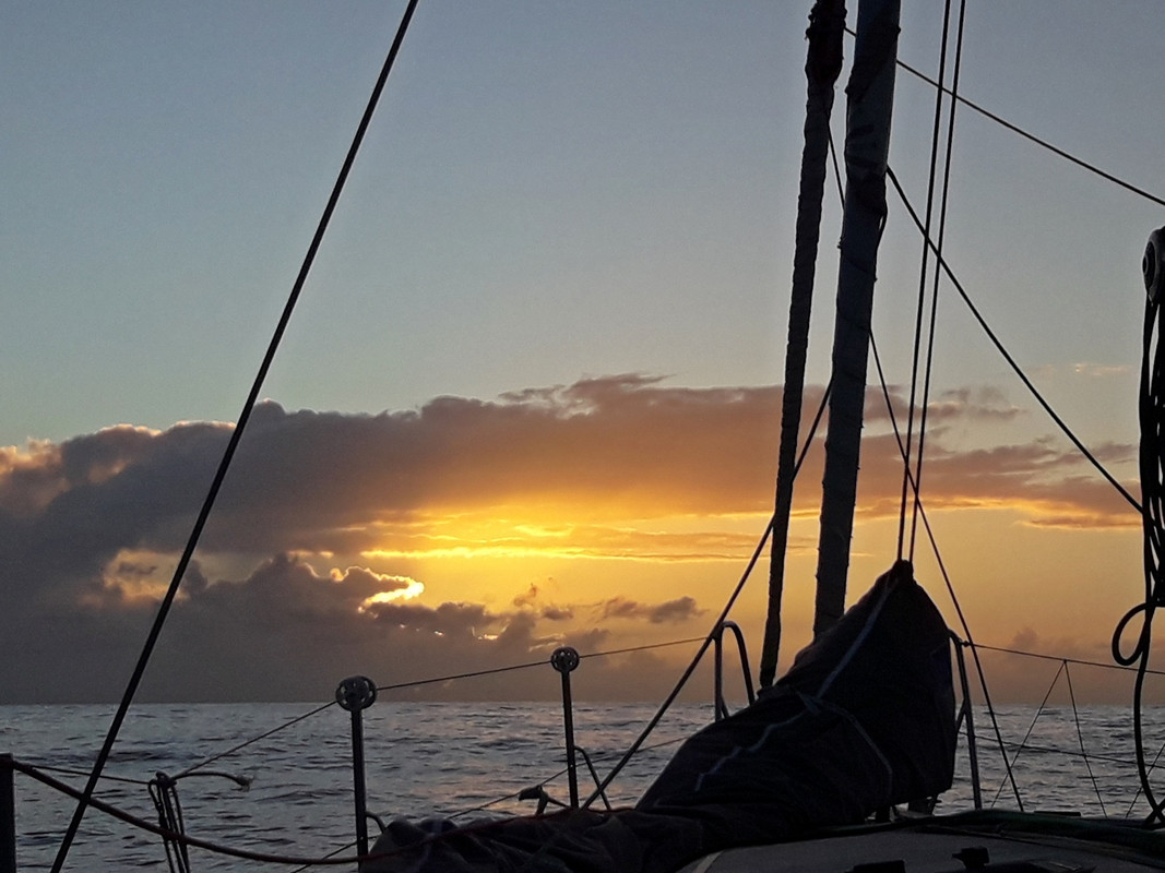 [Imagen: 20200223_174017.jpg]