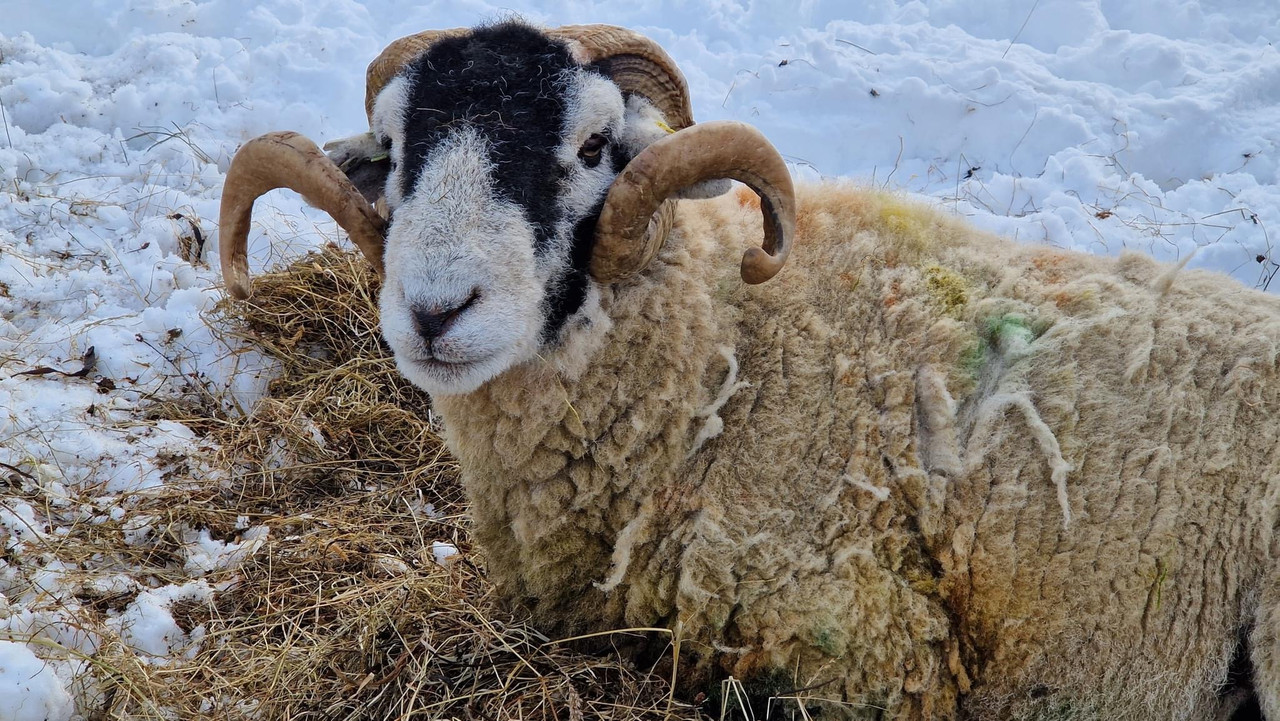 3C0A5555-0E85-4E41-9A14-FC5CA288D1EC