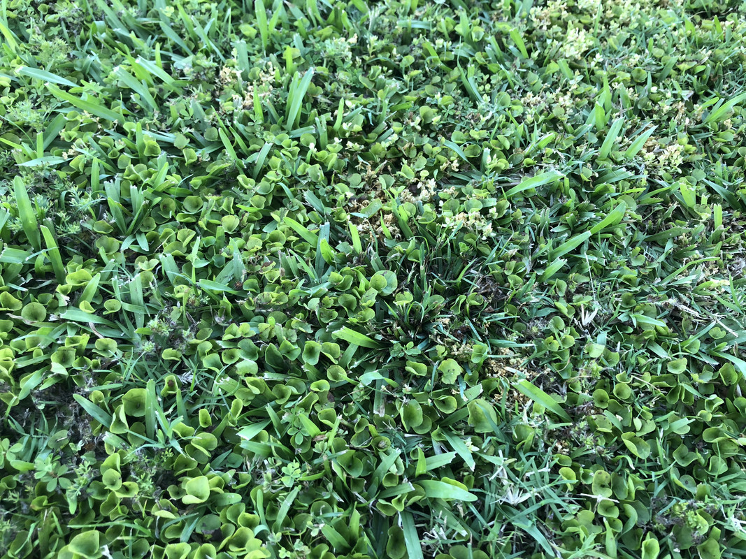 087C6913-9BB7-4A09-A20C-E72F9B77FF14