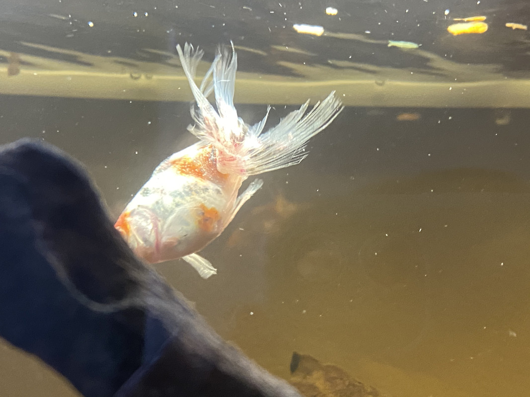 5048BAD6-BCE7-423B-B33E-C563EACB8A32