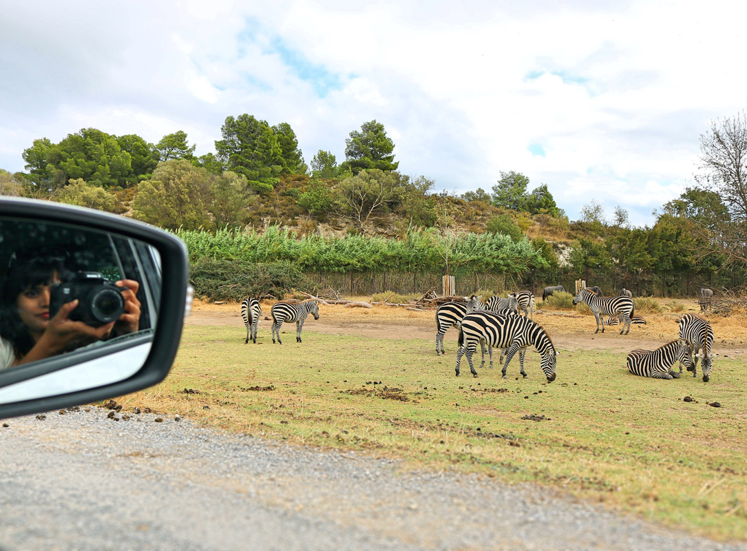 trip to Réserve Africaine de Sigean