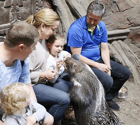 Get Up to 4 Free Tickets to SeaQuest Aquariums with Code GOGREEN10 Get Up to 4 Free Tickets to SeaQuest Aquariums with Code GOGREEN10