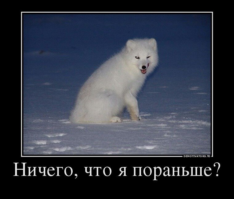 90459724_nichego-chto-ya-poranshe