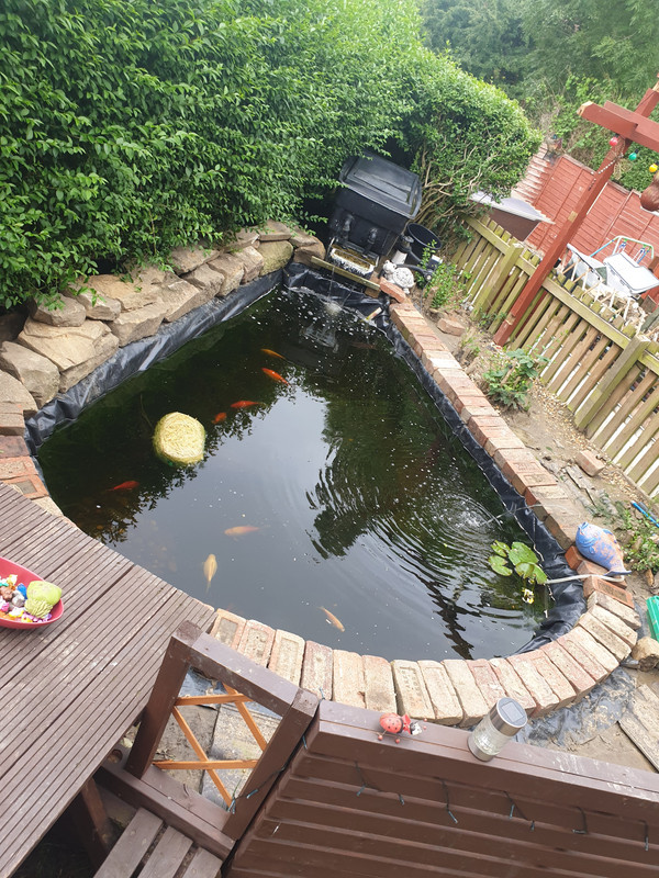 15946522272934970155593540618975