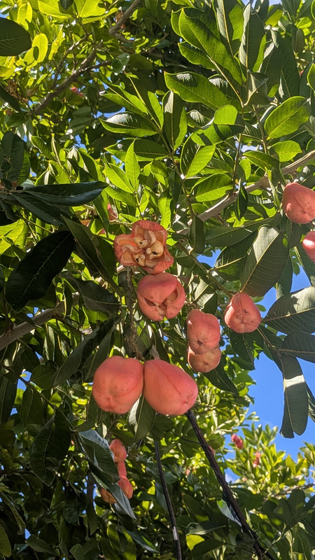 PXL 20251224 181537990