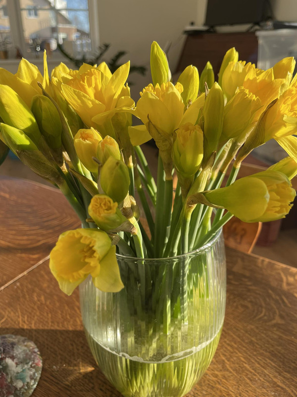 632757861-4146972005446109-3306298066201343778-n