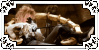 Labyrinth (Jareth)