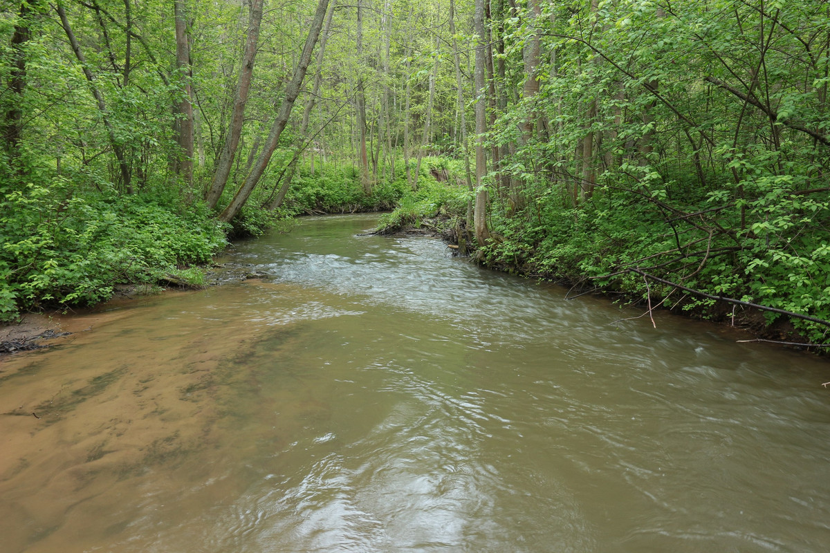 IMG_5573 (2592 x 1728)