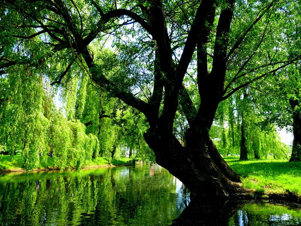 green-river.jpg