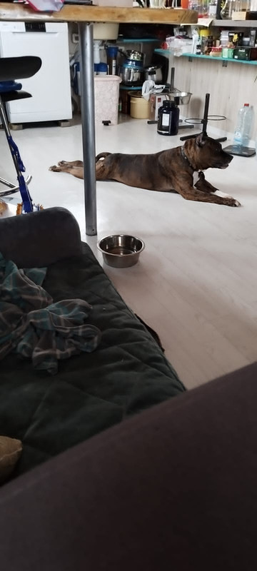 7B583547-55E3-40B9-ACB3-589FE9F1C146