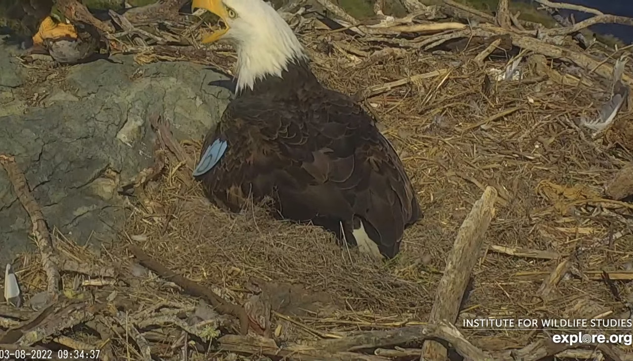 DDD39B82-96A8-434C-9F62-97947B012905