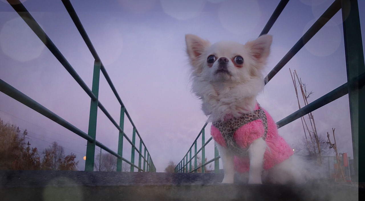 Lumii_20201129_175554477