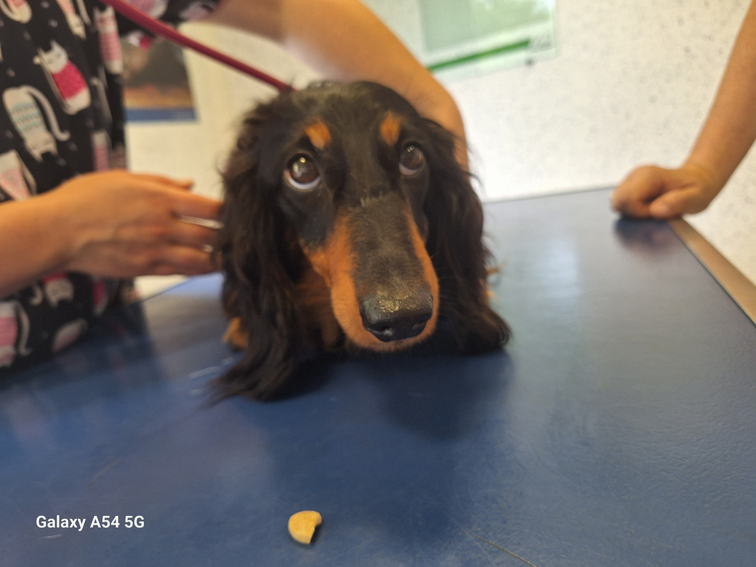 [Image: 20240618-165042.jpg]