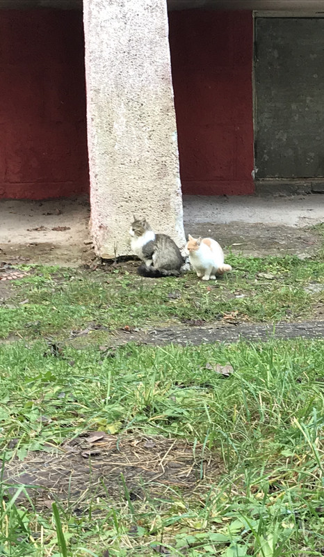 DFF1FBDD-AC48-4EE6-A140-DFC624AC3186