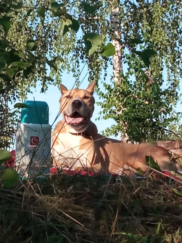 99536FA3-5929-4DBF-B846-712275E312F7