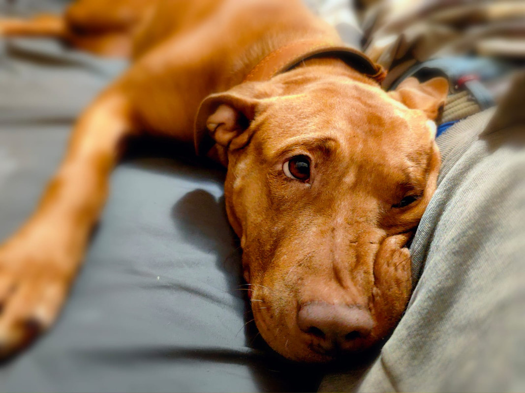 E7EC2261-570D-465D-B535-2B2BB15932A1