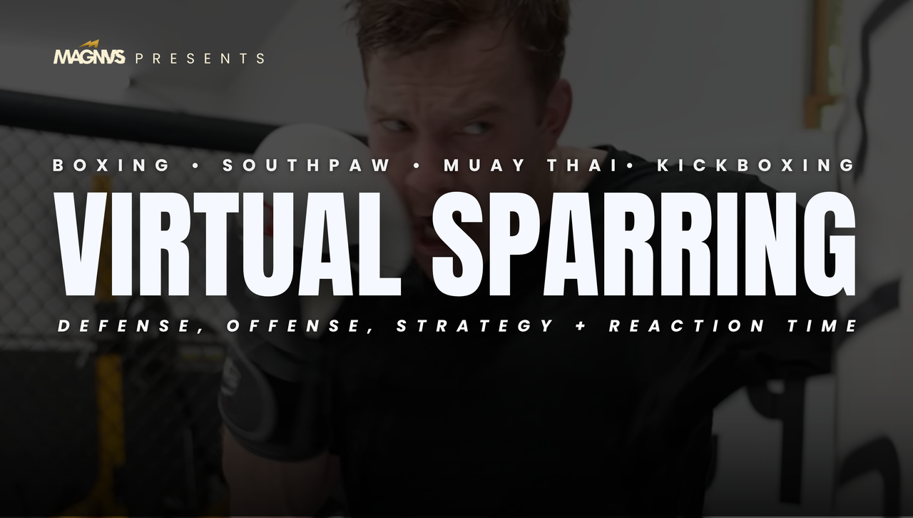 Virtual Sparring