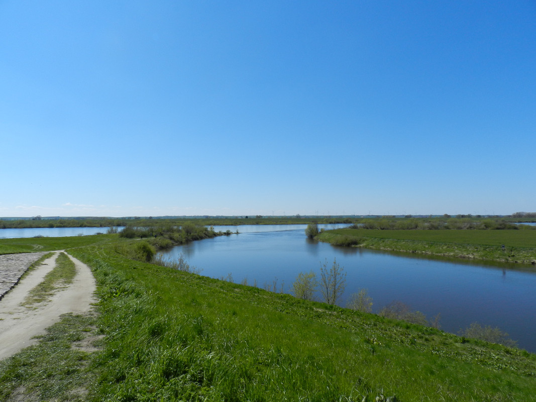 13.08 - DSCN0232 (Milady)