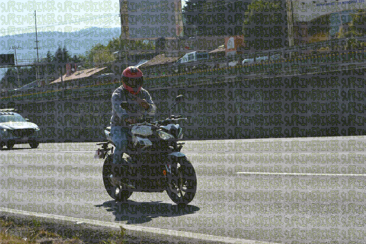 DSC 0973