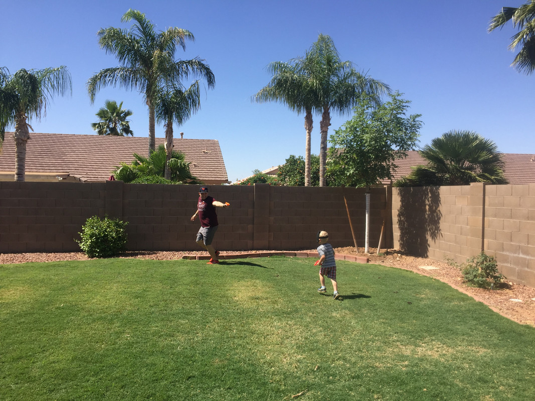 C17EDCDA-0B2E-4385-9D19-0F41D3F6BF8B