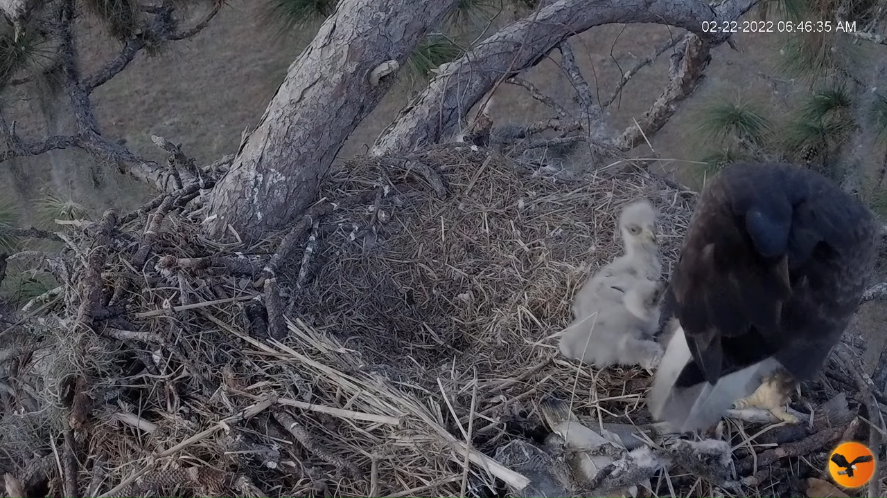 EC 4K Overhead Cam 13-0-22 screenshot