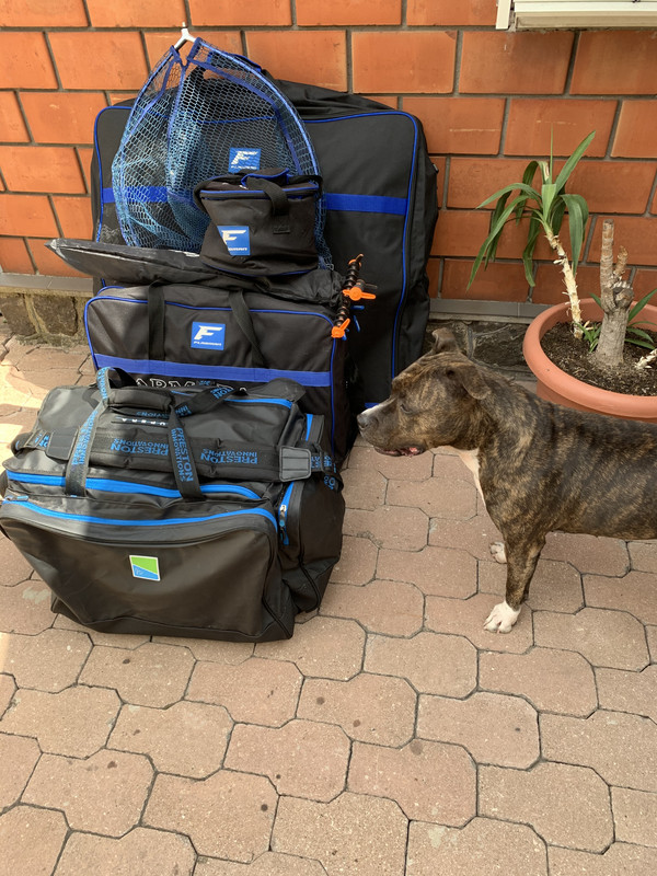 44510706-8921-46F7-8911-CB75DC18B23A