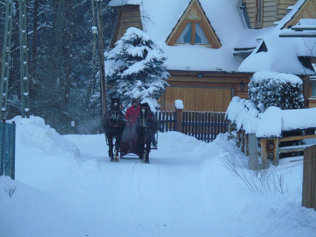 06.01 - DSC05130 (PawelK)