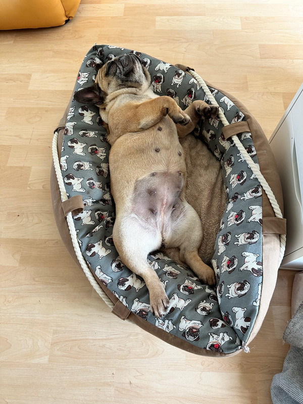 AABE26F3-4163-40BC-B812-17A61FFDB930