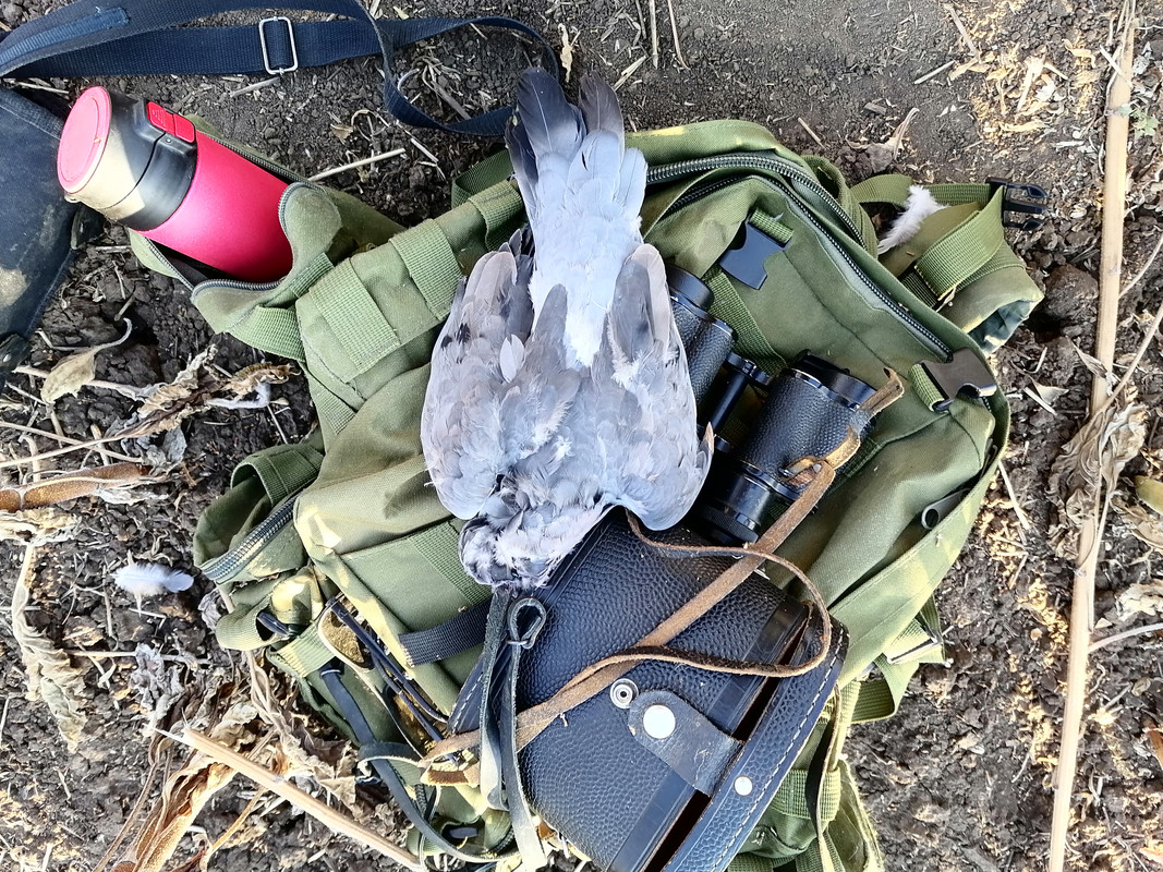 IMG_20230930_164703[1]