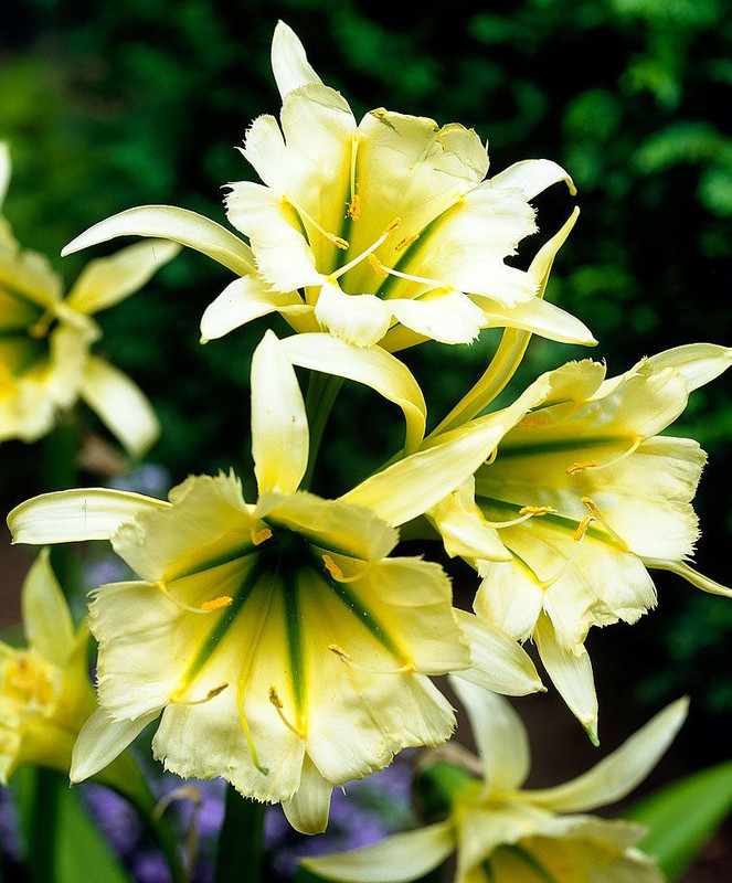 c74689bca425da75e1962de31b15b88f