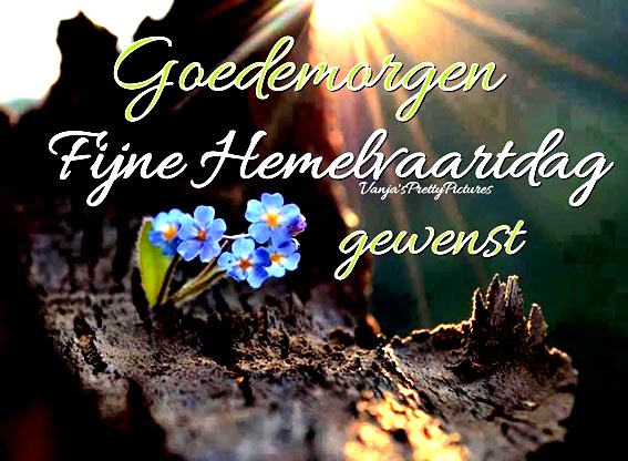 ddc9f3a6ef0b17eb571fbda8cc6cfb60