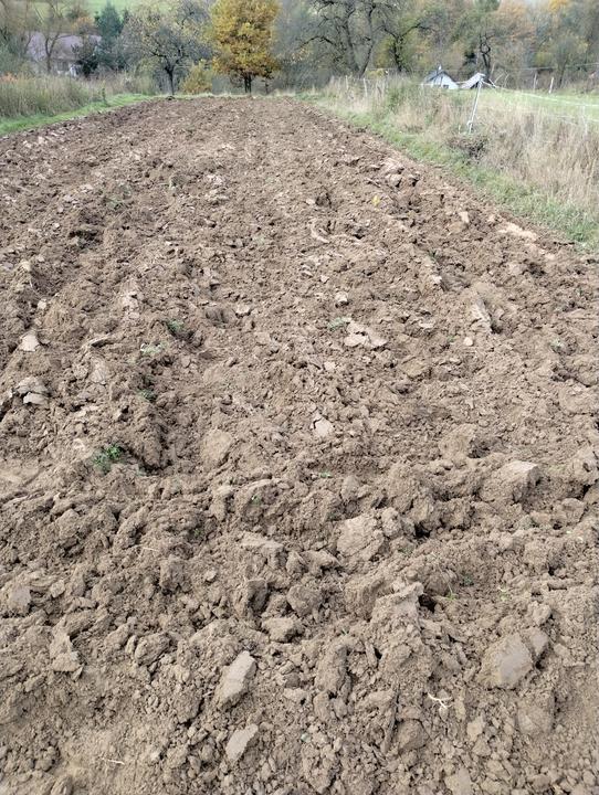 IMG 20251027 104447753