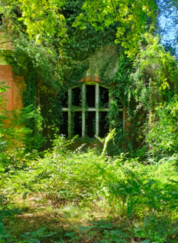Nature-4