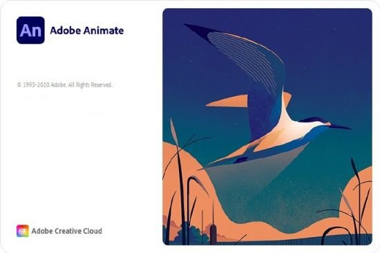 Adobe Animate 2021 v21.0.1.37179 (64bit) Multilingual