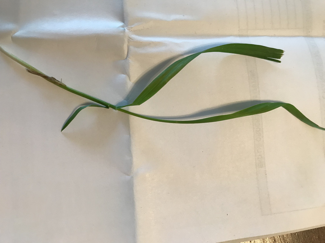 10379D53-3158-46B5-8600-B500415B676A