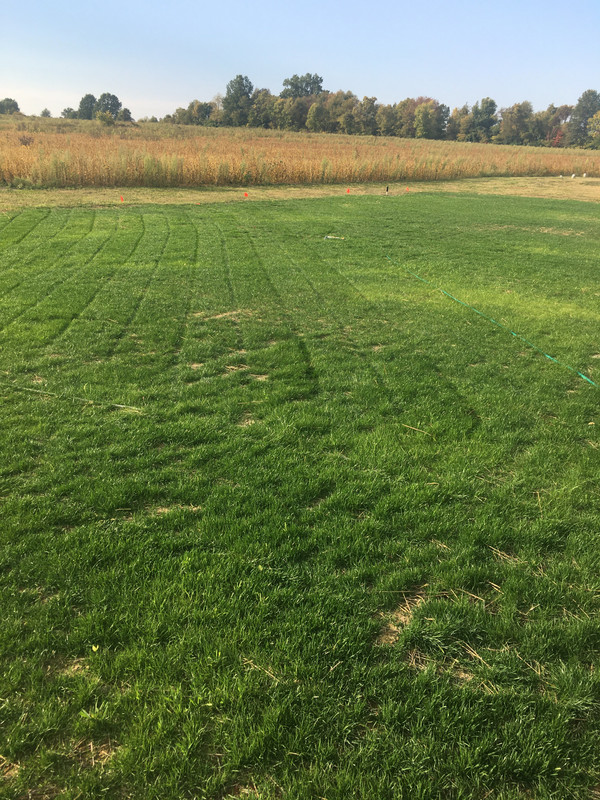 F729C8F3-7166-4886-9F95-A3881263303B