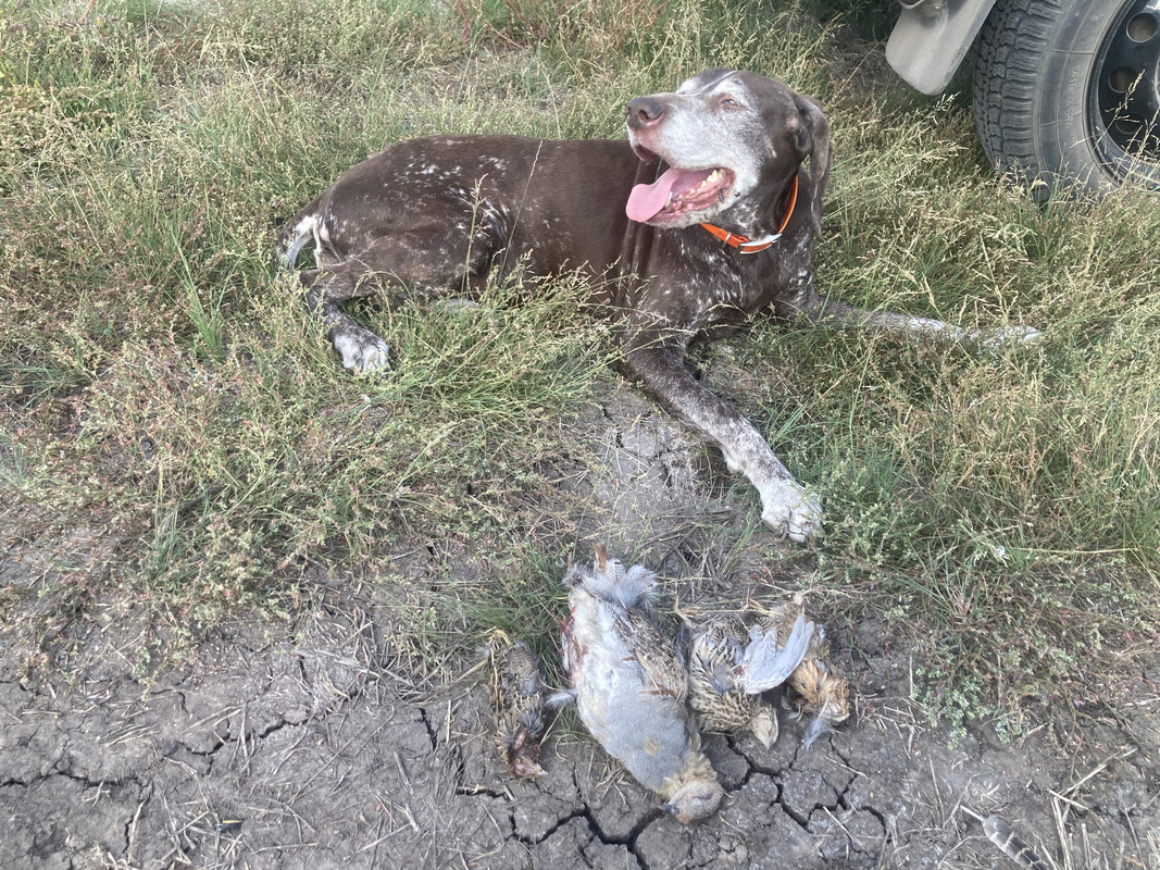 AA4EC86B-6C1B-4719-BFB6-10AA4A1741A0