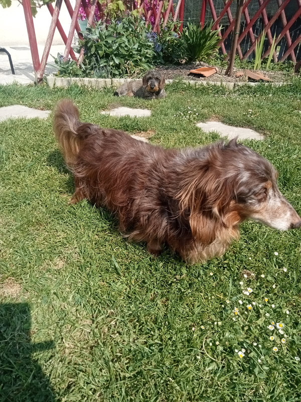 [Image: IMG-20250509-125842.jpg]