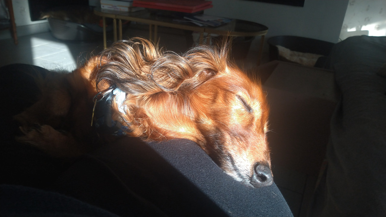 [Image: DSC-0001-BURST20200701194755523.jpg]